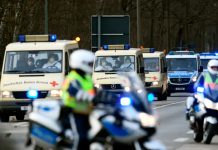 Dos nuevos casos de coronavirus en Alemania elevan el total a 18