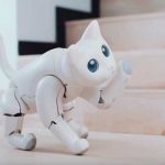 Presentan a MarsCat la gata robot que corre, ronronea y juega funciones