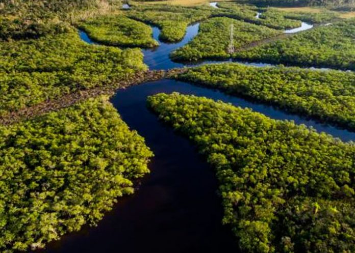 nota-10_Y9oLg7K investigadores