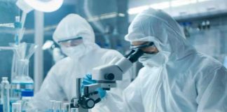 investigadores