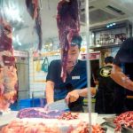 La ciudad china de Shenzhen prohíbe comer animales silvestres animales silvestres