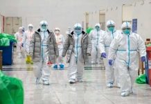 OMS espera probar las primeras vacunas en un lapso de 4-5 meses vacunas candidatas