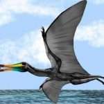 Descubren fósiles de reptil volador de hace 135 millones de años cientificos