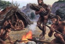 El Homo Erectus se extinguió hace 110.000 años, revela estudio muestras