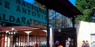 informe