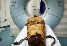 Científicos logran «hacer hablar» a una momia de hace 3.000 años nesyamun