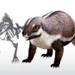 Descubren el fósil de la Bestia loca, un mamífero de 66 millones de años esqueleto