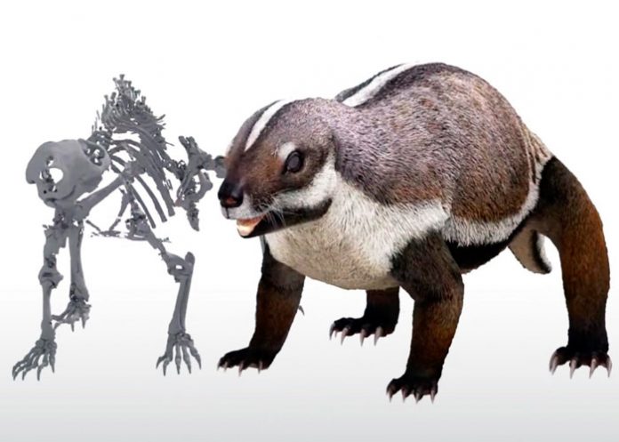 nota-12.2_7l2Yeuv esqueleto