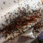 Yanet García presume su retaguardia en Puerto Rico (FOTOS) famosa