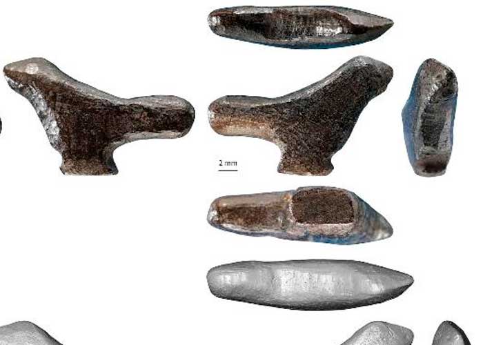 nota-12_7XgM0BB descubirmiento