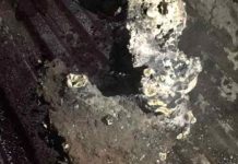 Reportan misteriosa caída de un meteorito en Ecuador (VIDEO) el empalme