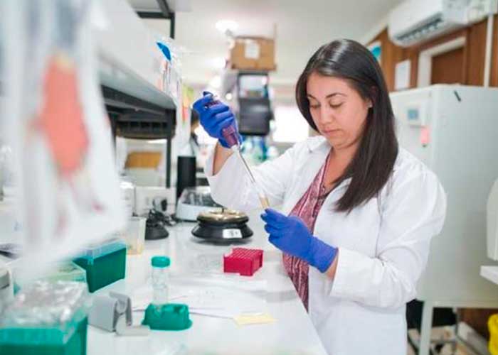 nota-13_UXtlXEG sistema inmunologico