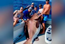 Capturaron un pez gigantesco de 50 años y casi 160 kilos de peso (FOTOS) pescador