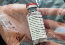 Medicamento contra la malaria no sirve para tratar el coronavirus malaria