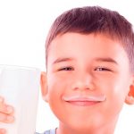 Día Mundial de la Leche, ¿qué nutrientes aporta esta bebida? bebida nutritiva