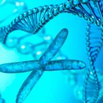 Enfermedades auto-inmunes son mas frecuentes en mujeres, científicos ya tienen el porque adn