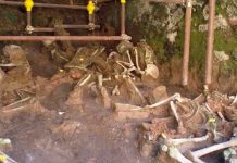 Descubren un cerebro vitrificado por la erupción del Vesubio versubio