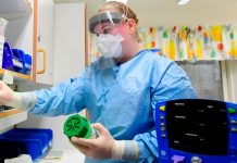 OMS reporta 82.294 casos confirmados de coronavirus en el mundo detalles de casos