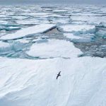 Científicos detectan microplásticos en un lago de agua dulce del Ártico estudio