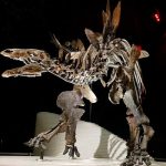 Hallan el estegosaurio más completo de Europa portugal