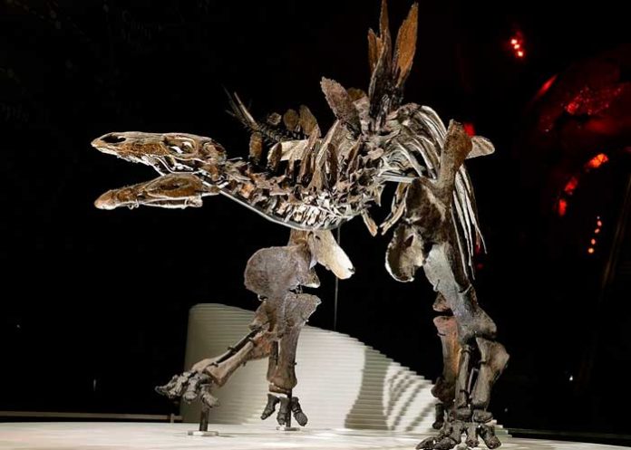 nota-1_wrsDWCM portugal