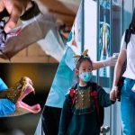 Murciélagos y serpientes serían el origen del coronavirus, según estudio nueva cepa