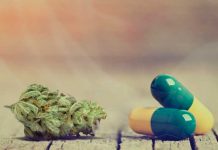 Dos fármacos a base de cannabis podrán ser recetados para la salud