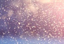 nieve mineral