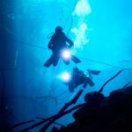 Hallan los restos de dos de las criaturas marinas más feroces del pasado fosiles