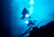 Hallan los restos de dos de las criaturas marinas más feroces del pasado fosiles