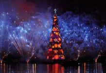 Los árboles de Navidad más impresionantes del mundo (FOTOS) luces