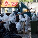 China registra un brote de gripe aviar en zona cercana del coronavirus expansion