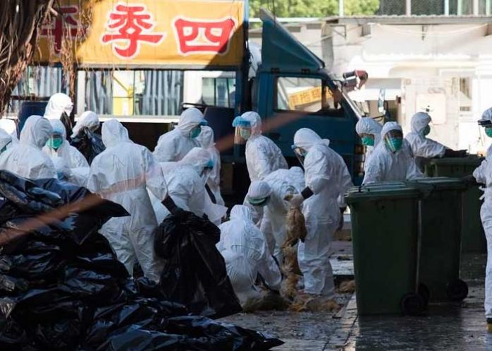 nota-2_A092ccF expansion