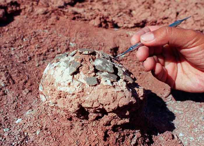 nota-2_brcRbL4 japon