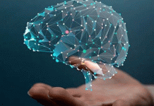 ¡Asombroso! Científicos cultivan minicerebros humanos universidad de california