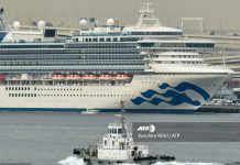 Mueren dos enfermos de coronavirus del crucero Diamond Princess brote
