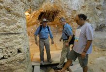 Hallan restos de madera usados por neandertales hace unos 60.000 años barcelona