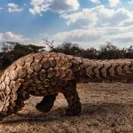 peligro de extincion