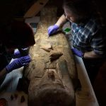 Sacan a momia egipcia de su sarcófago por primera vez en casi un siglo estudio