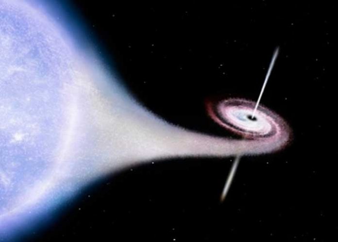 nota-4-portada_Dt2E5rd descubren