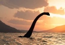 El monstruo del lago Ness podría ser una anguila gigante