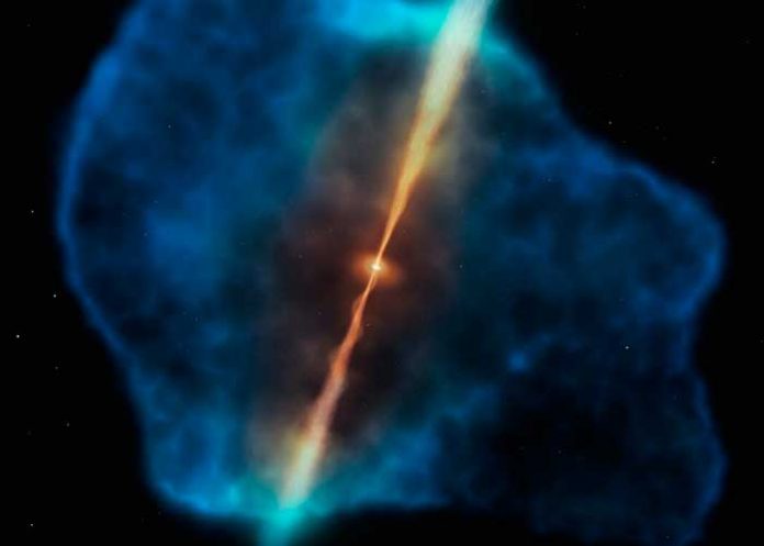 nota-4_N6FPQEz alimento perfecto