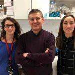 Molécula de sangre es efectiva contra enfermedad autoinmune del riñón lupus