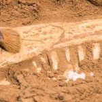 Descubren en Marruecos restos de consumo animales de hace 700.000 años gruta de rinocerontes