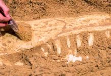 Descubren en Marruecos restos de consumo animales de hace 700.000 años gruta de rinocerontes