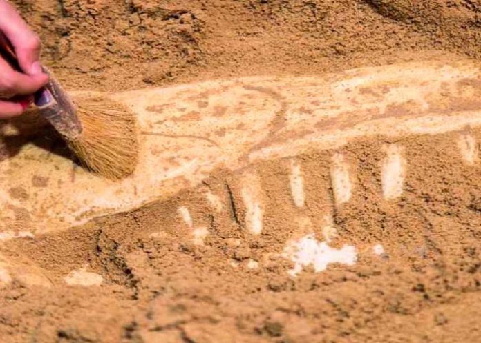 gruta de rinocerontes