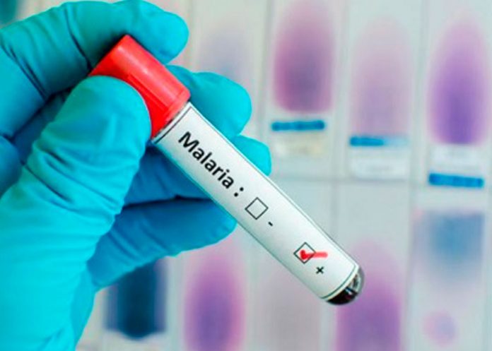 vacunas preliminares