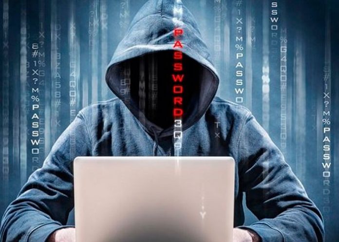 nota-5_lfw4e0x streaming