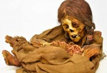 La momia «la ñusta» vuelve a Bolivia tras más de un siglo en EE.UU.