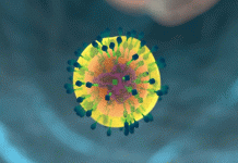 Mutación genética «rara» crea inmunidad contra virus del VIH